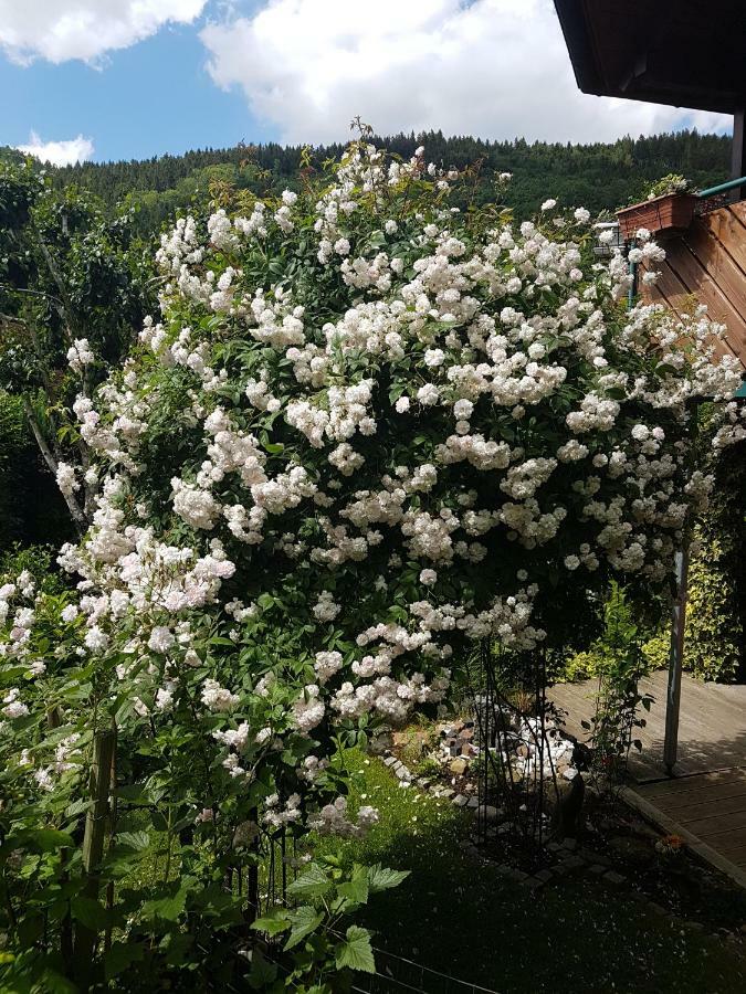 Apartment Schwarzwaldhaus Elzach